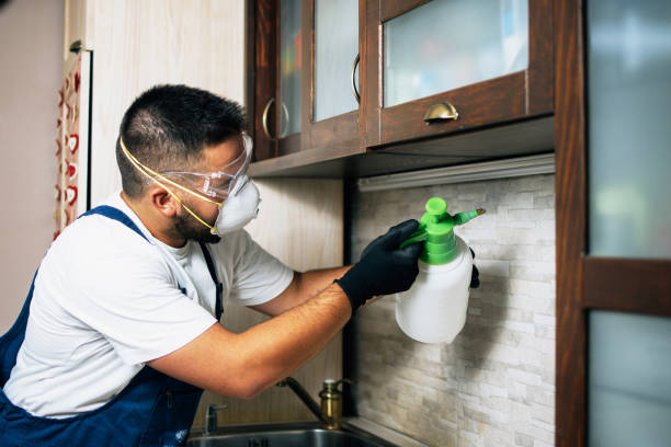 Best Affordable Pest Control Services  in Richton Park, IL