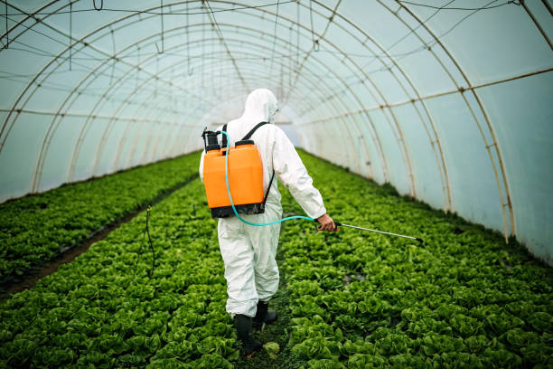 Best Best Pest Control Companies  in Richton Park, IL