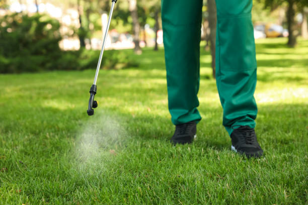 Best Best Pest Control Companies  in Richton Park, IL