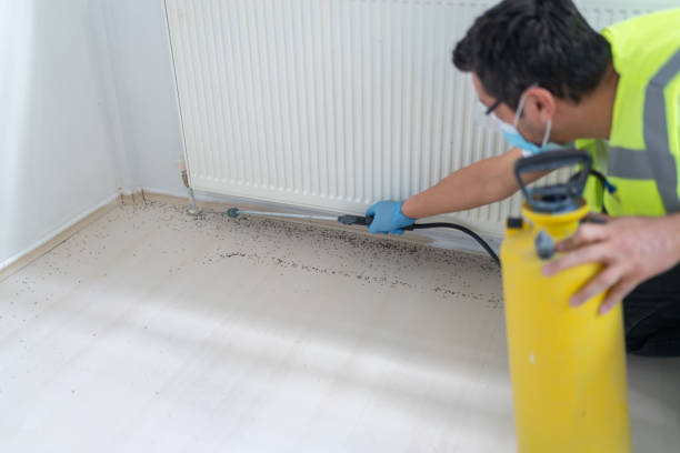 Best Pest Prevention Services  in Richton Park, IL