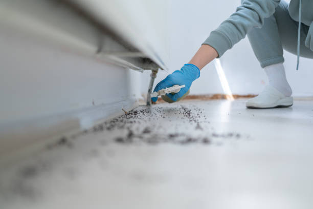 Best Commercial Pest Control Services  in Richton Park, IL