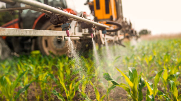 Best Wildlife Control Services  in Richton Park, IL